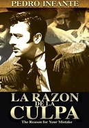 La razón de la culpa poster image