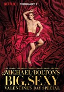 Michael Bolton's Big, Sexy Valentine's Day Special poster image