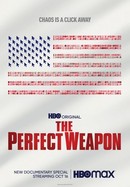 The Perfect Weapon poster image