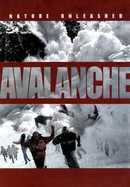 Avalanche: Nature Unleashed poster image