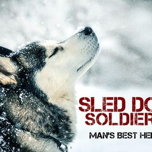 what did the dog soldiers do