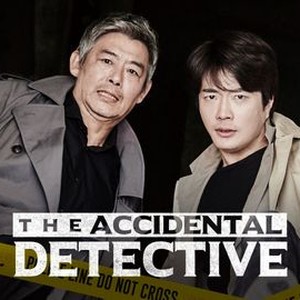 The Accidental Detective photo 4