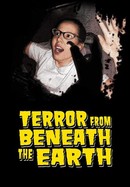Terror From Beneath the Earth poster image