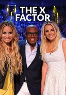 The X Factor poster image