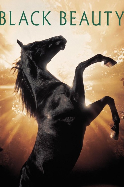 Black Beauty poster