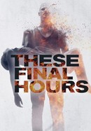 These Final Hours poster image