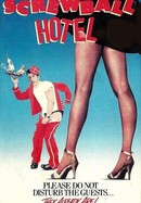 Screwball Hotel poster image