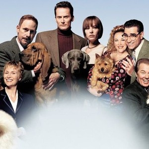 Best in show stream sale