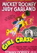 Girl Crazy poster image