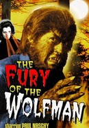 The Fury of the Wolfman poster image