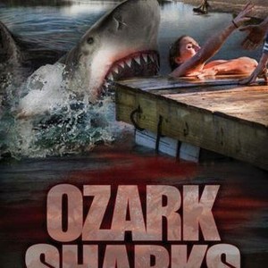 Ozark Sharks photo 3