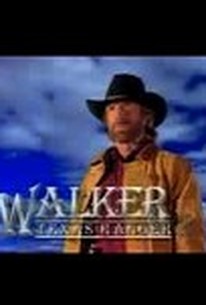 Walker Texas Ranger Trial By Fire 2005 Rotten Tomatoes