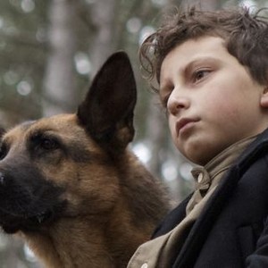 Shepherd: The Story of a Jewish Dog photo 9