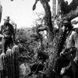 The Treasure of the Sierra Madre photo 8