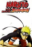 Naruto Shippûden: The Movie poster image