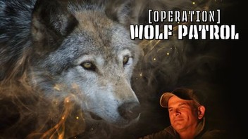 Operation Wolf Nintendo NES Game (Renewed) - Classic Light Gun Shooter