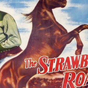 The Strawberry Roan photo 4