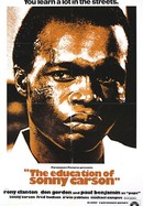 The Education of Sonny Carson poster image