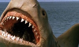 Jaws: The Revenge: Official Clip - Killing the Beast