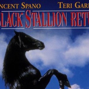 black stallion movie figurine