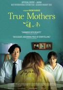 True Mothers poster image