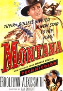 Montana poster image