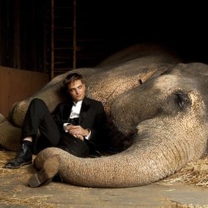 Water for Elephants photo 7