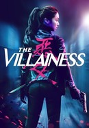 The Villainess poster image