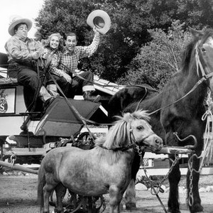Ride 'em Cowboy (1942) photo 1