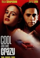 Cool and the Crazy poster image