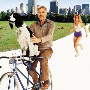 The Lonely Guy photo 11