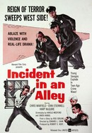 Incident in an Alley poster image
