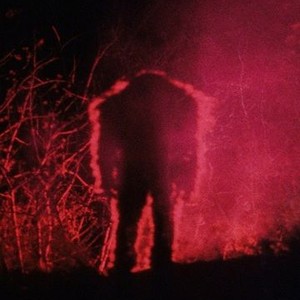 Primal Force Rotten Tomatoes