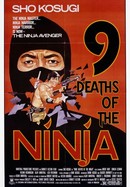 9 Deaths of the Ninja poster image