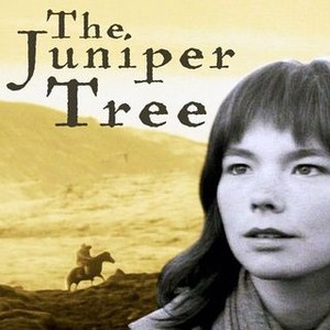 The Juniper Tree photo 16