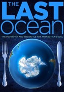 The Last Ocean poster image