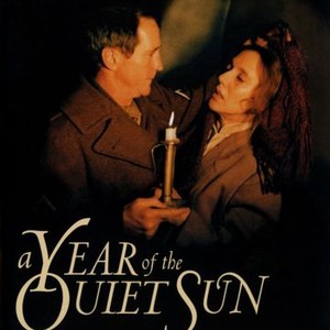 A Year of the Quiet Sun photo 2