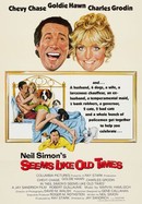 Seems Like Old Times poster image