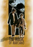 The Magic of Marciano poster image