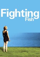 Fighting Fish poster image