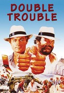 Double Trouble poster image