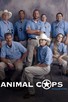 Poster for 