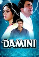 Damini poster image