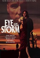 Eye of the Storm poster image