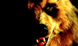 Grizzly II. Revenge: Trailer 1 photo 1