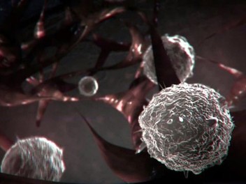 Monsters Inside Me: Season 1 | Rotten Tomatoes