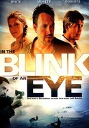 In the Blink of an Eye poster image
