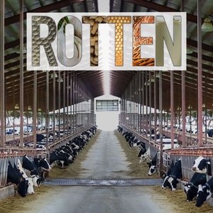 Rotten - Rotten Tomatoes