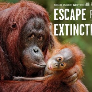 Escape From Extinction photo 8