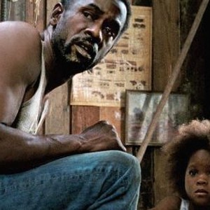 Beasts Of The Southern Wild 2012 Rotten Tomatoes